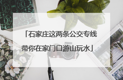 石家庄这两条公交专线带你在家门口游山玩水
